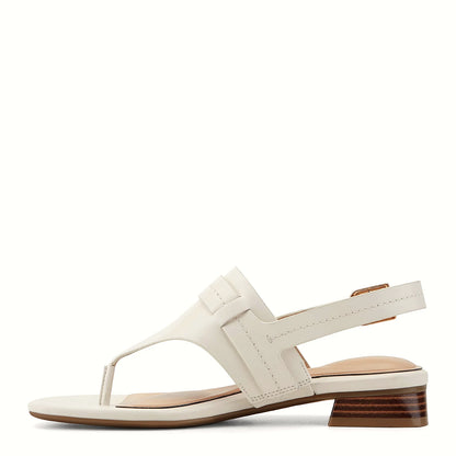 Pair of thong slingback sandals photographed from above on a plain background