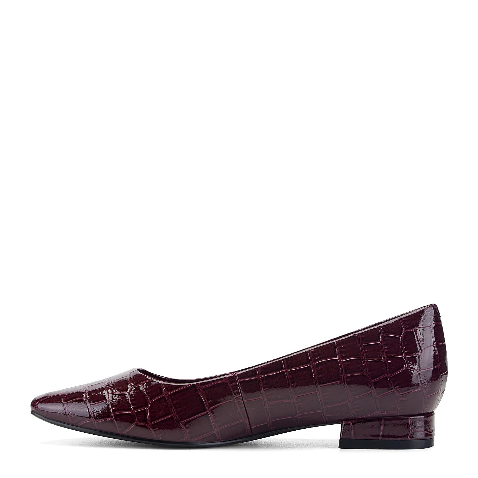 Women's Tessa Pointy Toe Dress Flats
